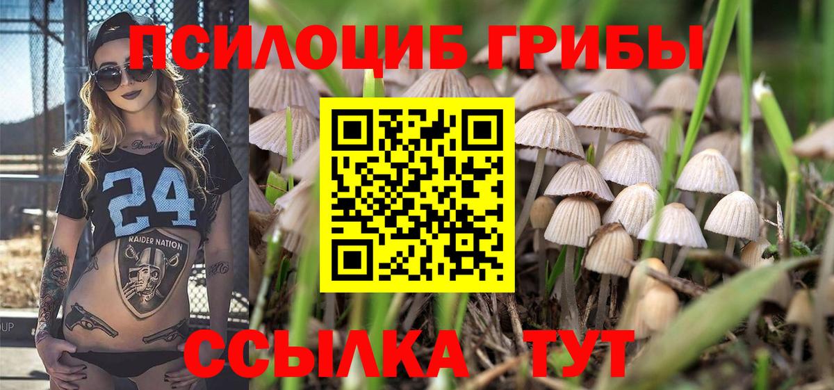 Псилоцибиновые грибы прущие грибы  Вход с VPN  Мценск  Галлюциногенные грибы MAGIC MUSHROOMS 