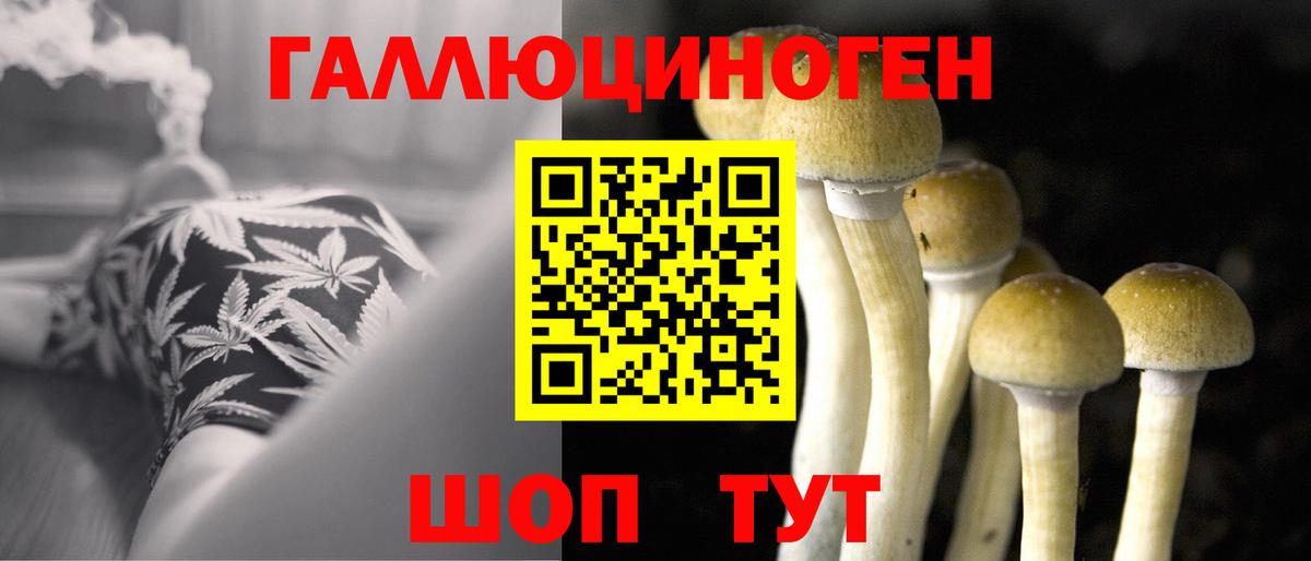 Галлюциногенные грибы мицелий Мценск